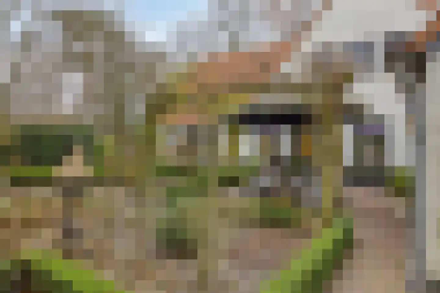 Molenstraat 39 Waalre thumbnail 32