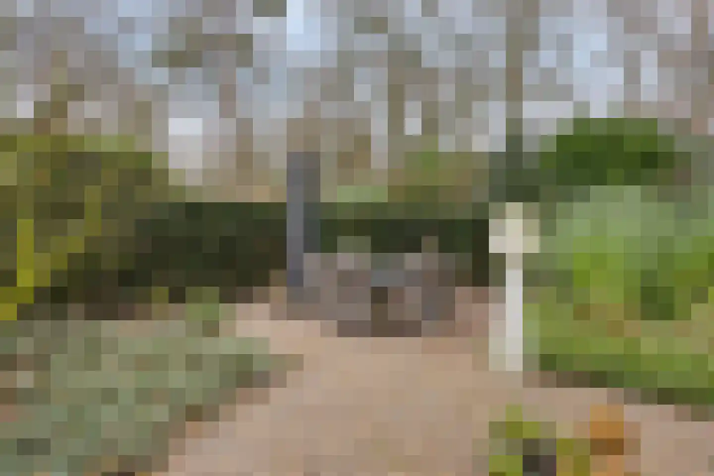 Molenstraat 39 Waalre thumbnail 33