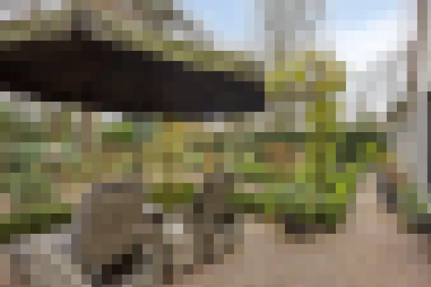 Molenstraat 39 Waalre thumbnail 35