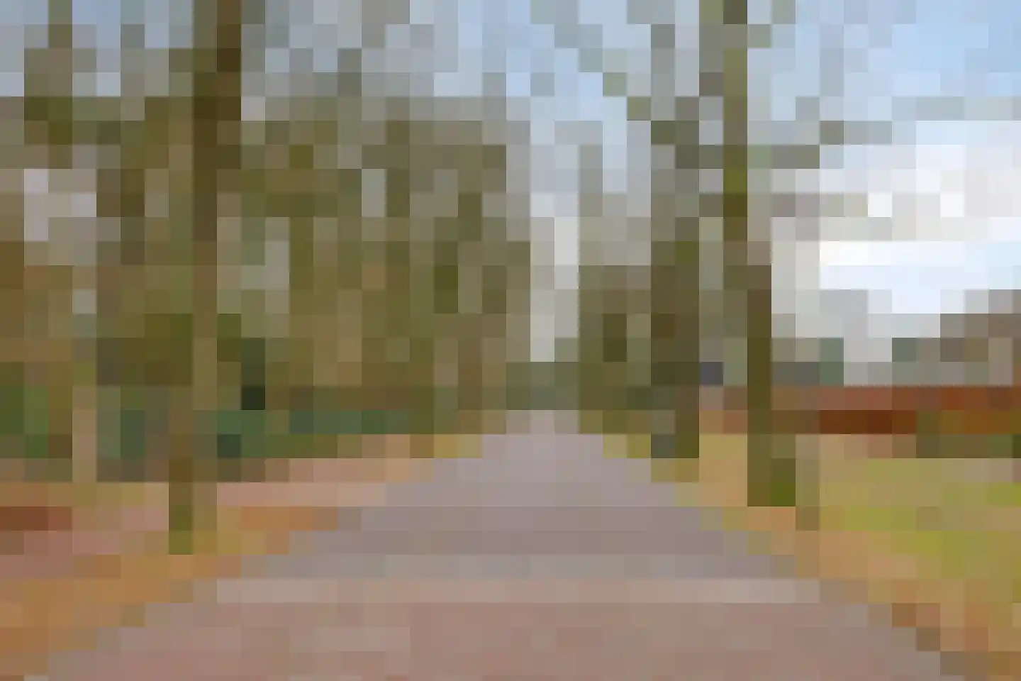 Molenstraat 39 Waalre thumbnail 37