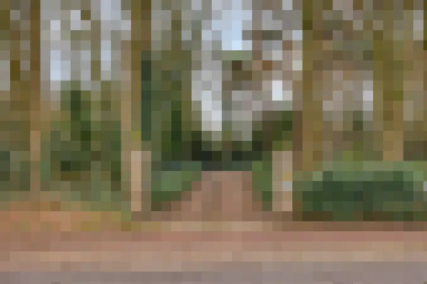 Molenstraat 39 Waalre thumbnail 4
