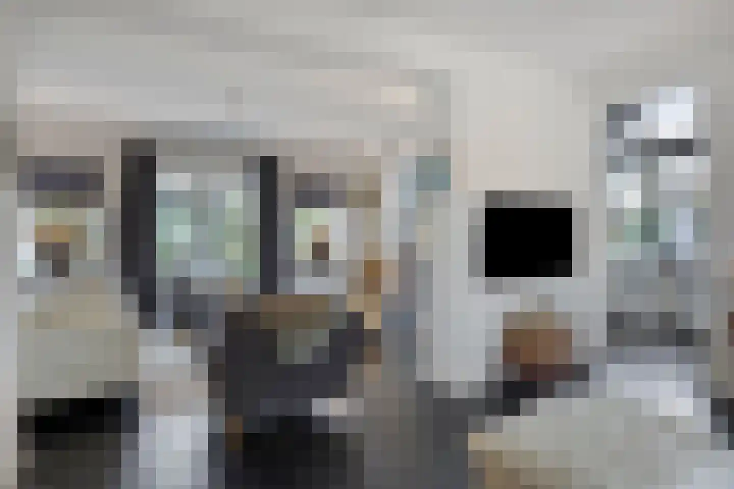Molenstraat 39 Waalre thumbnail 7