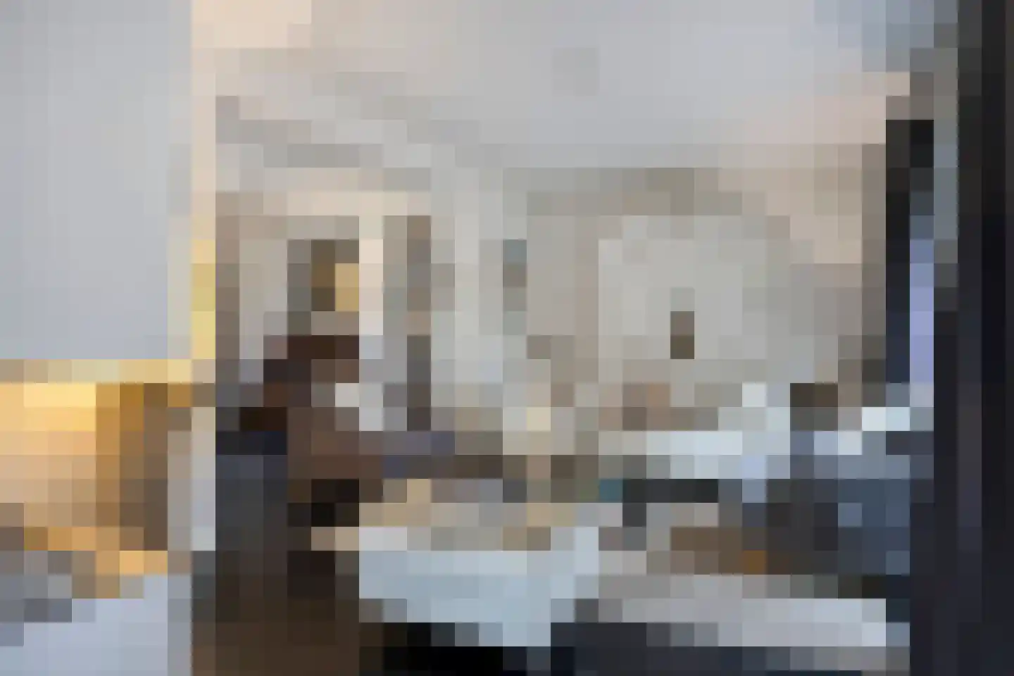 Molenstraat 39 Waalre thumbnail 8
