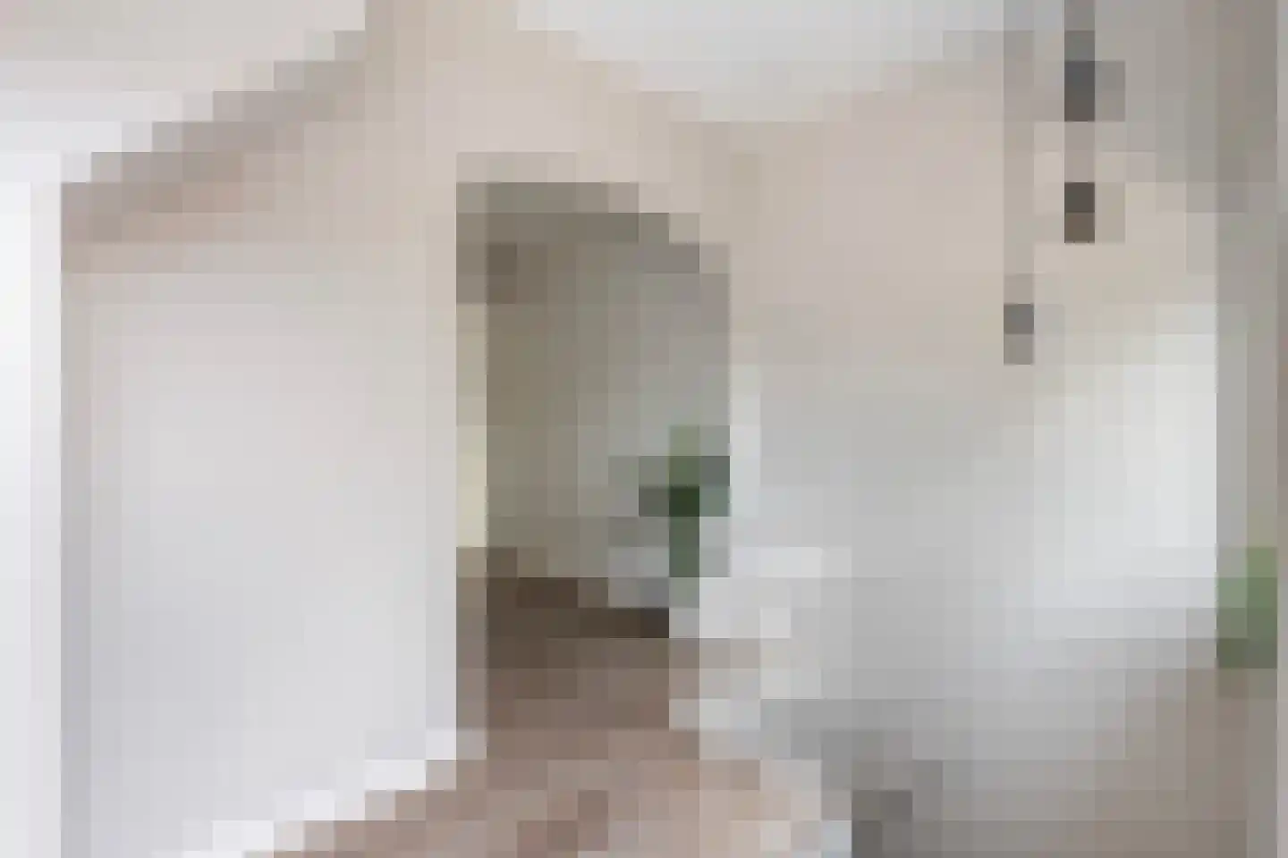 Molenstraat 4 A Dalfsen thumbnail 11