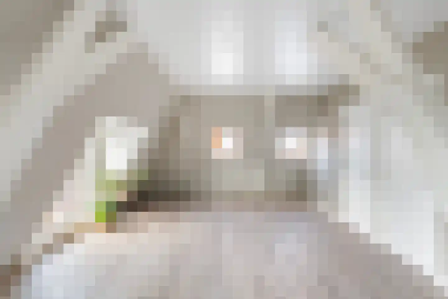 Molenstraat 4 A Dalfsen thumbnail 14