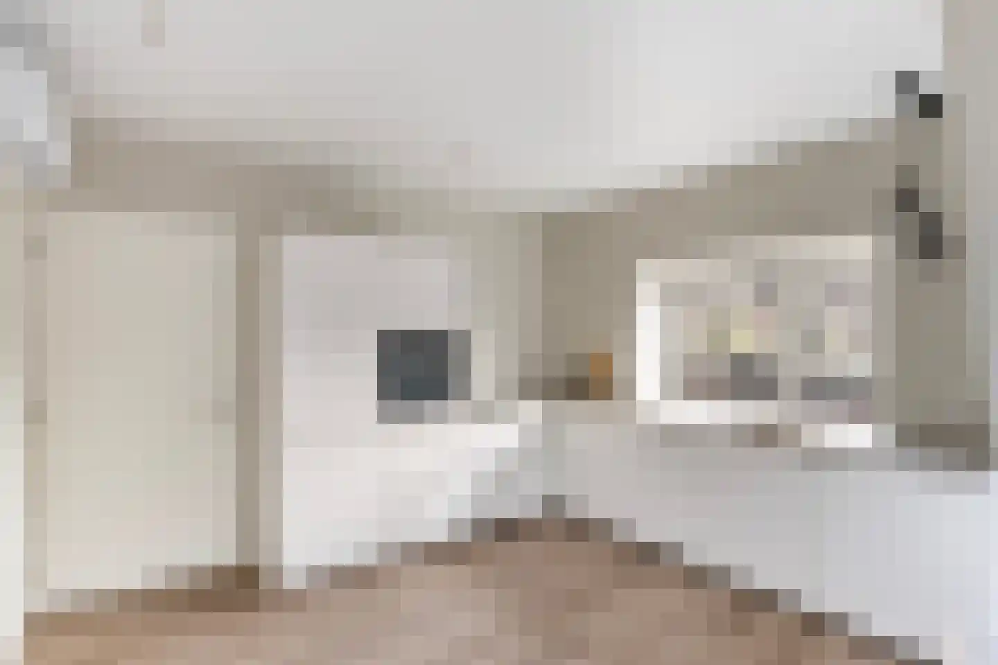 Molenstraat 4 A Dalfsen thumbnail 17