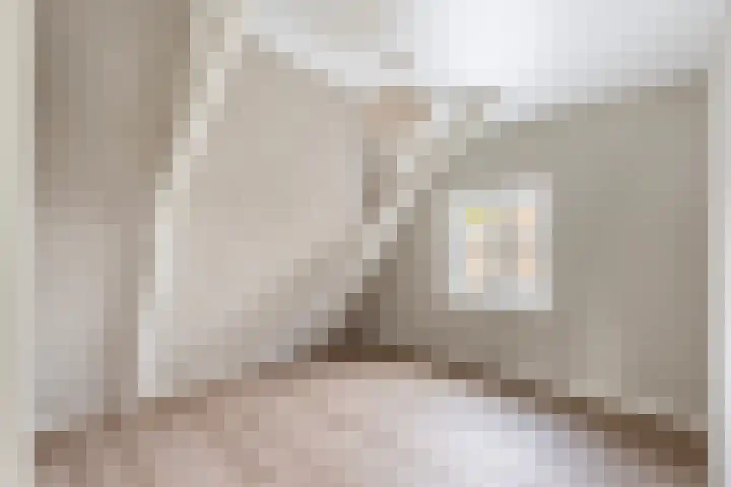 Molenstraat 4 A Dalfsen thumbnail 21