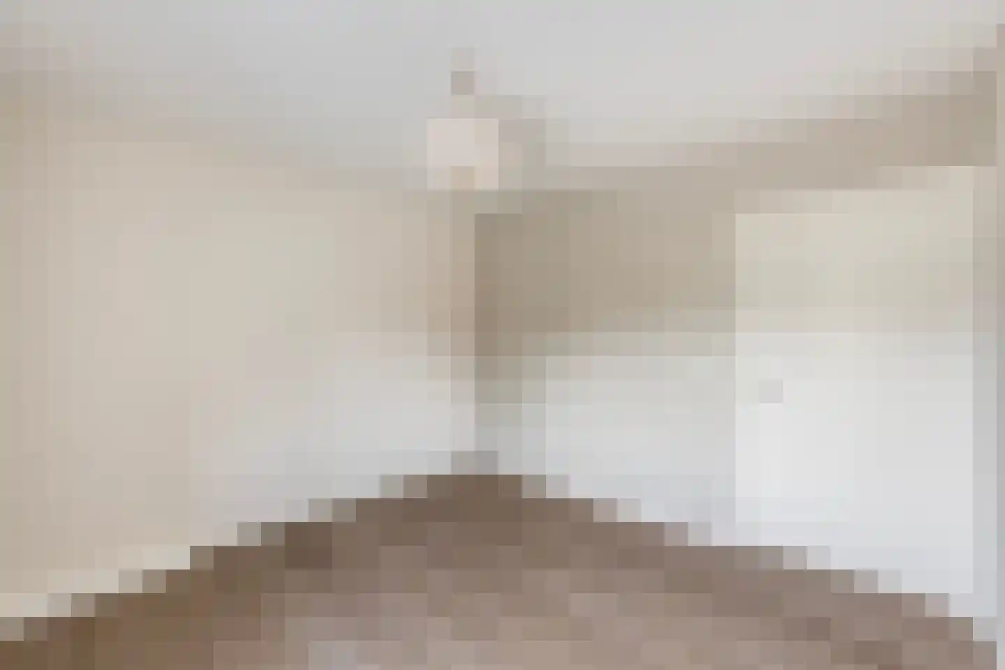 Molenstraat 4 A Dalfsen thumbnail 22