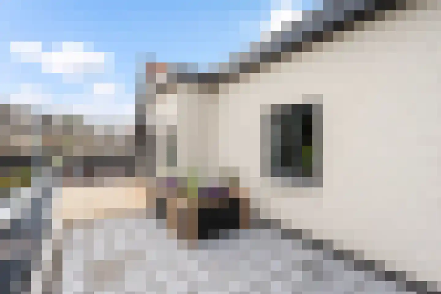 Molenstraat 4 A Dalfsen thumbnail 26
