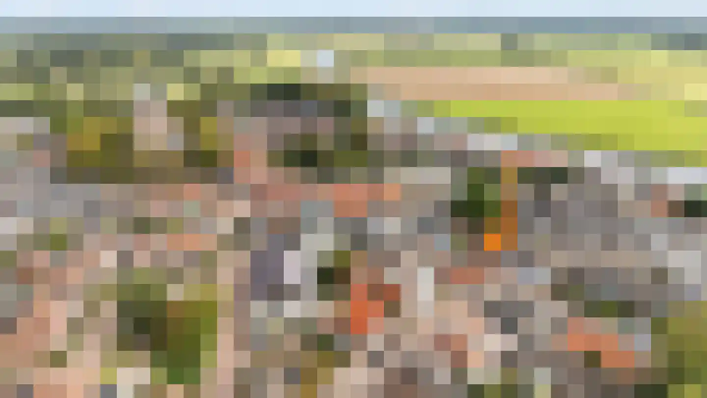 Molenstraat 4 A Dalfsen thumbnail 31