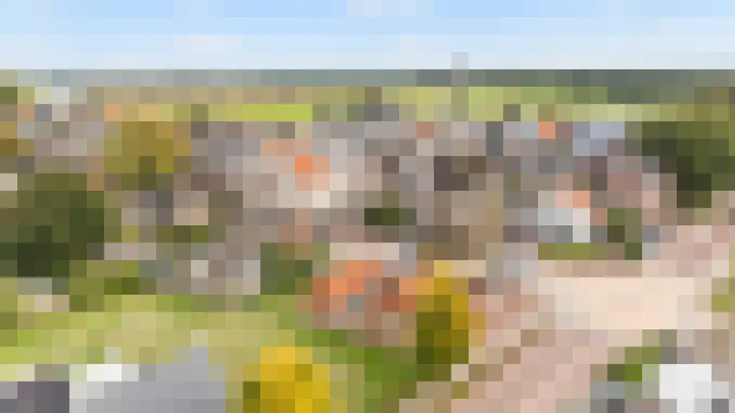 Molenstraat 4 A Dalfsen thumbnail 34