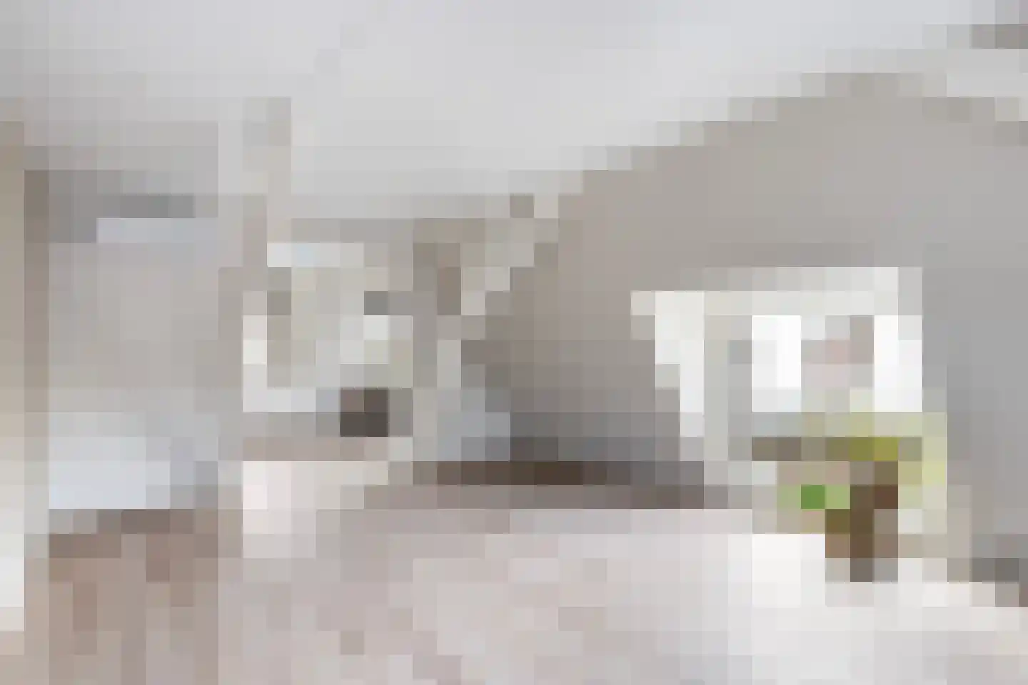 Molenstraat 4 A Dalfsen thumbnail 5