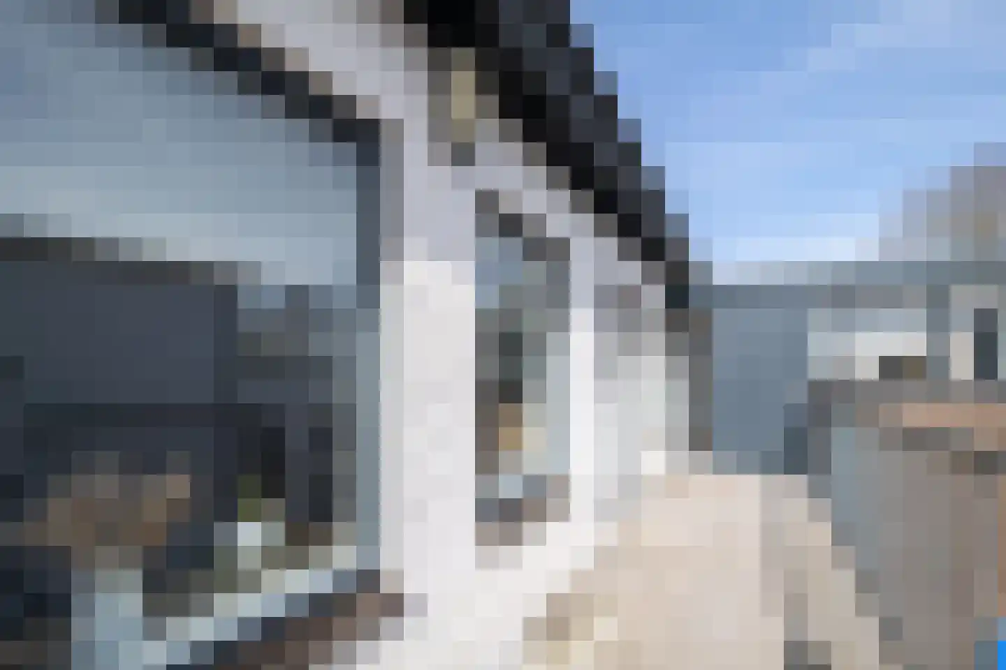 Molenstraat 4 a Goor thumbnail 12