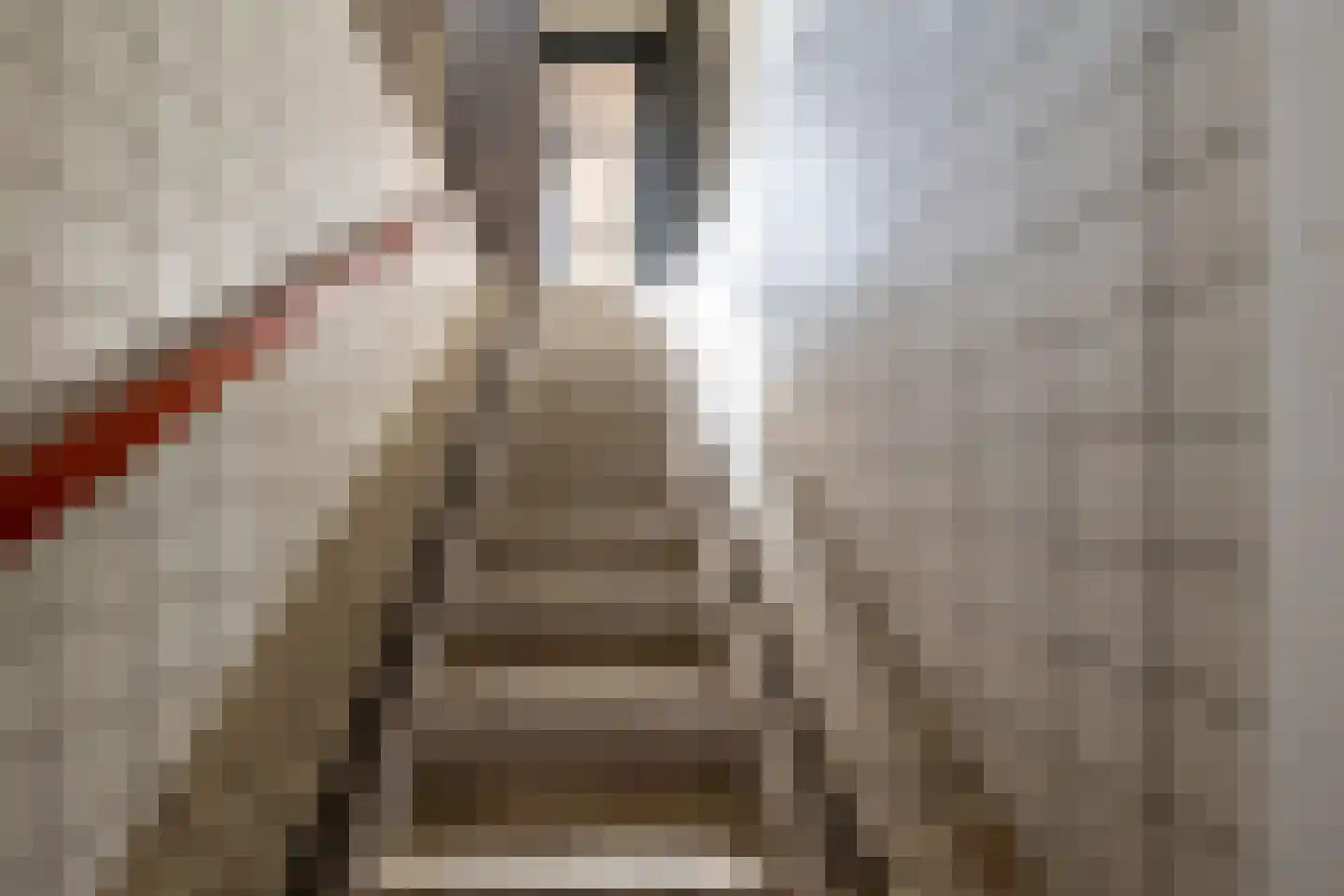 Molenstraat 4 a Goor thumbnail 13
