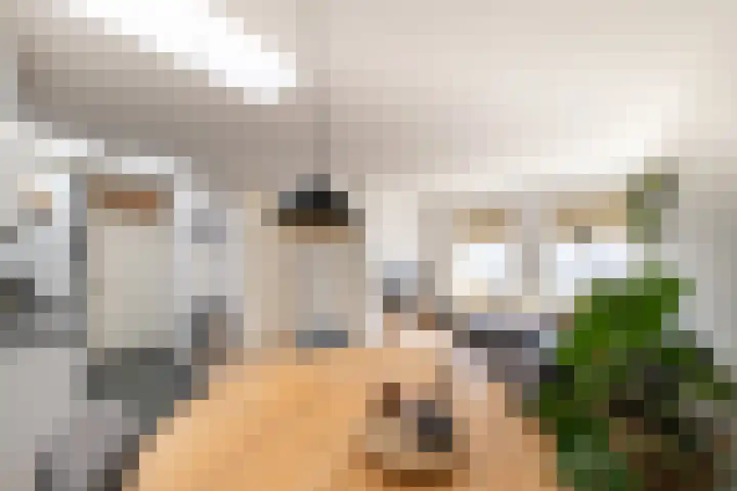 Molenstraat 4 a Goor thumbnail 6