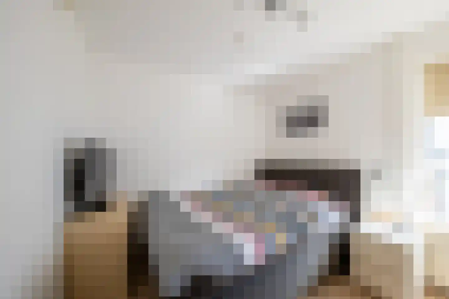 Molenstraat 4 a Goor thumbnail 7