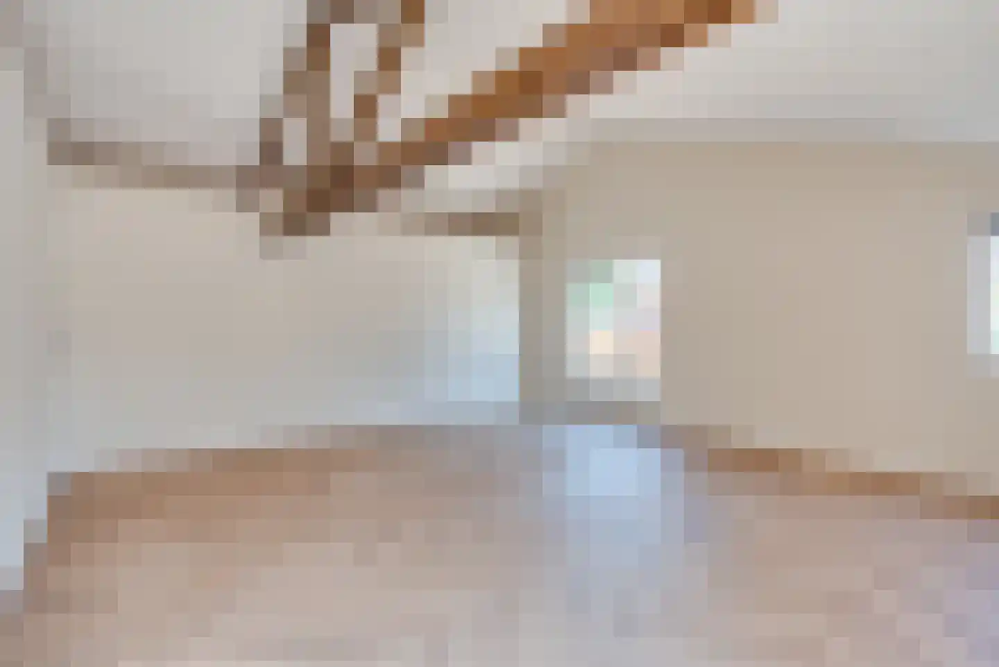 Molenstraat 4 Amerongen thumbnail 4