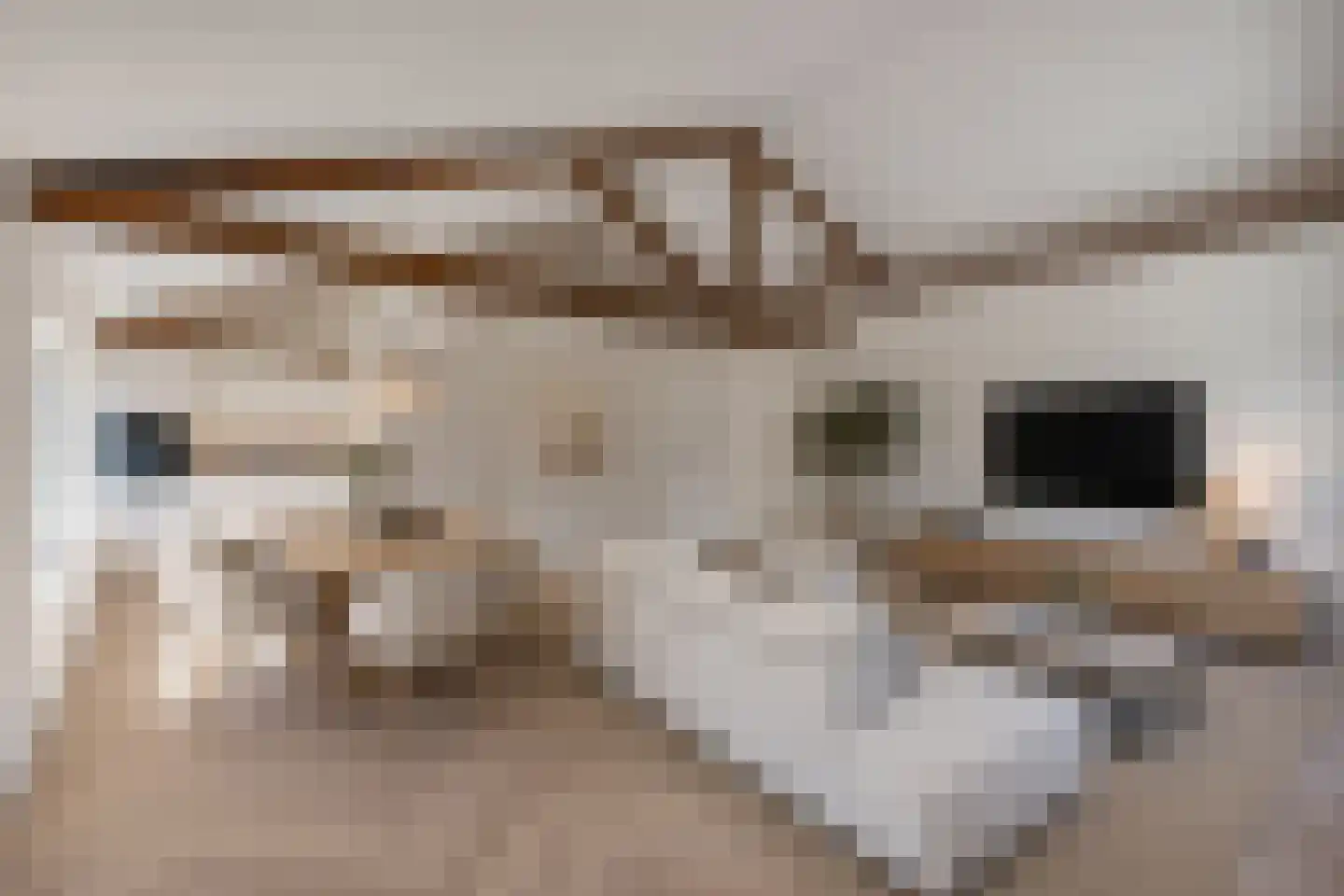 Molenstraat 4 Amerongen thumbnail 5