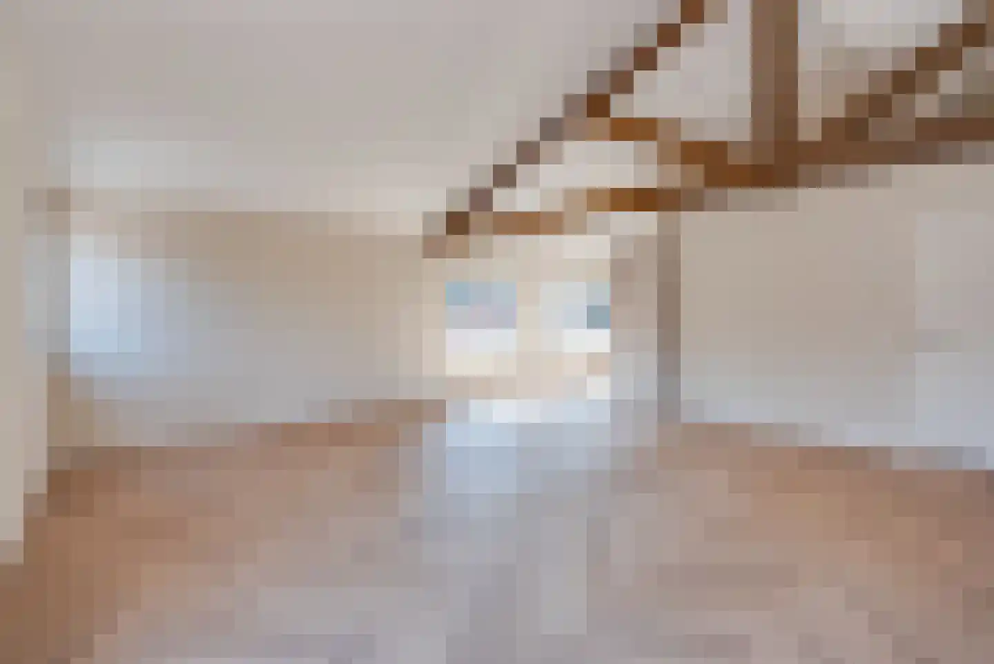 Molenstraat 4 Amerongen thumbnail 6