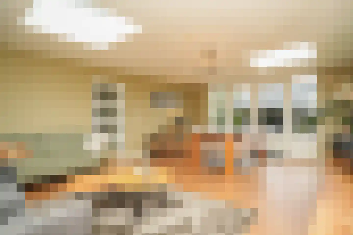 Molenstraat 4 c Boven-Leeuwen thumbnail 7