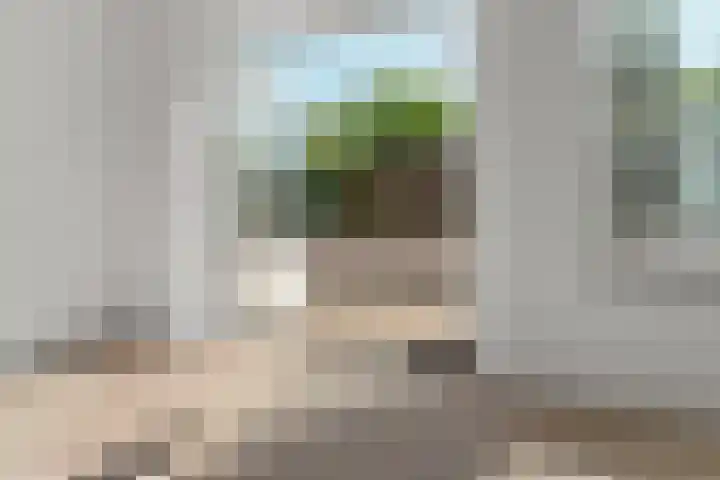 Molenstraat 4 d Sint Anthonis thumbnail 14