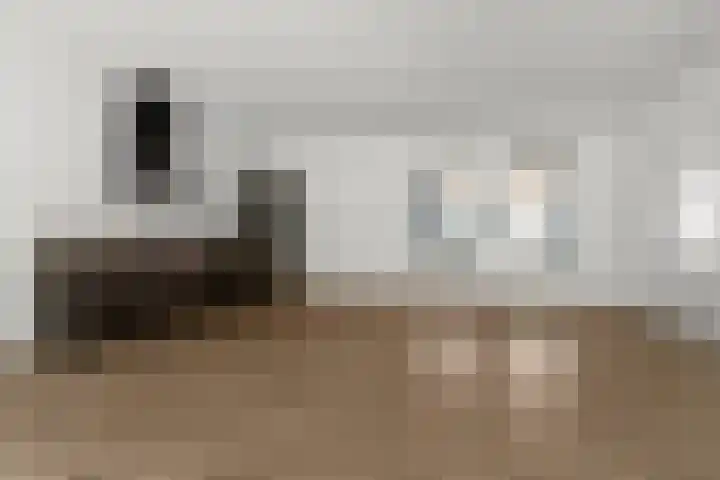 Molenstraat 4 d Sint Anthonis thumbnail 9
