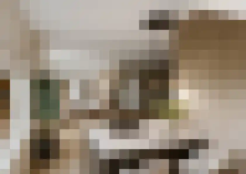 Molenstraat 4 Dalfsen thumbnail 11