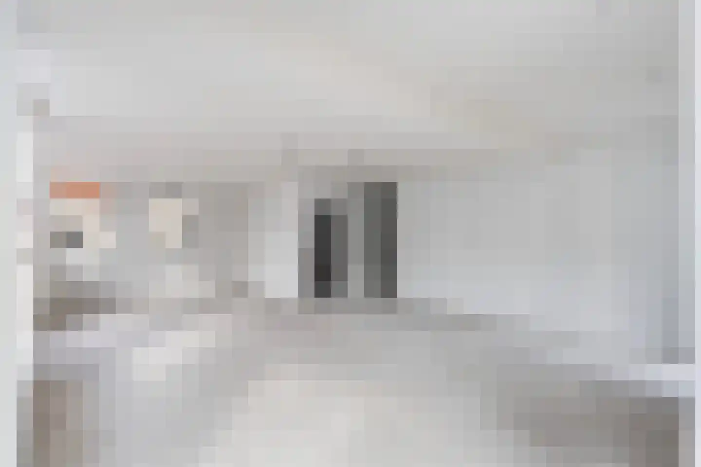 Molenstraat 4 Dalfsen thumbnail 12