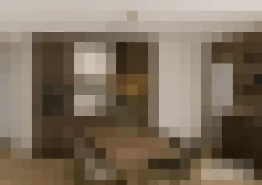 Molenstraat 4 Dalfsen thumbnail 15