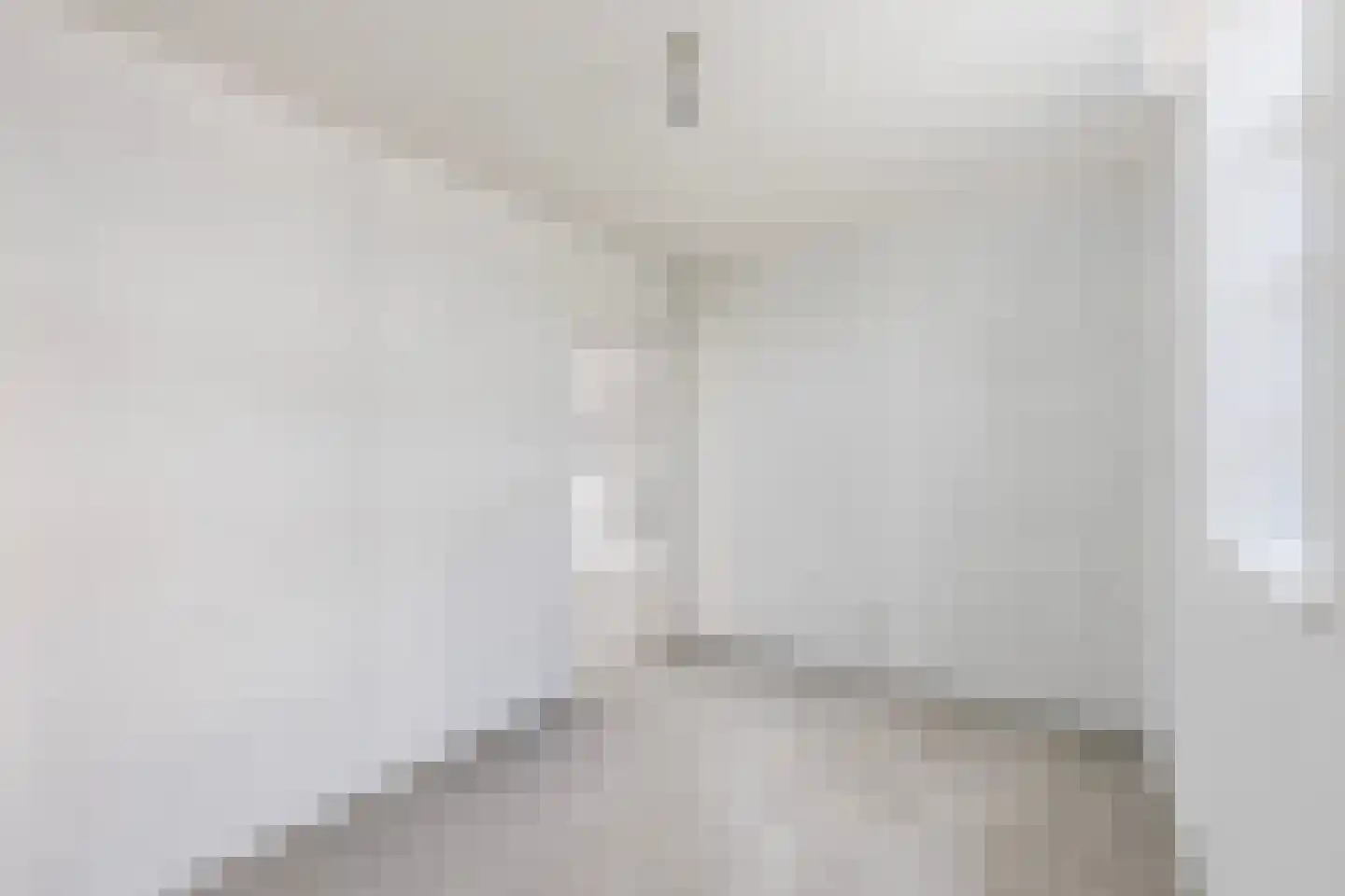 Molenstraat 4 Dalfsen thumbnail 23