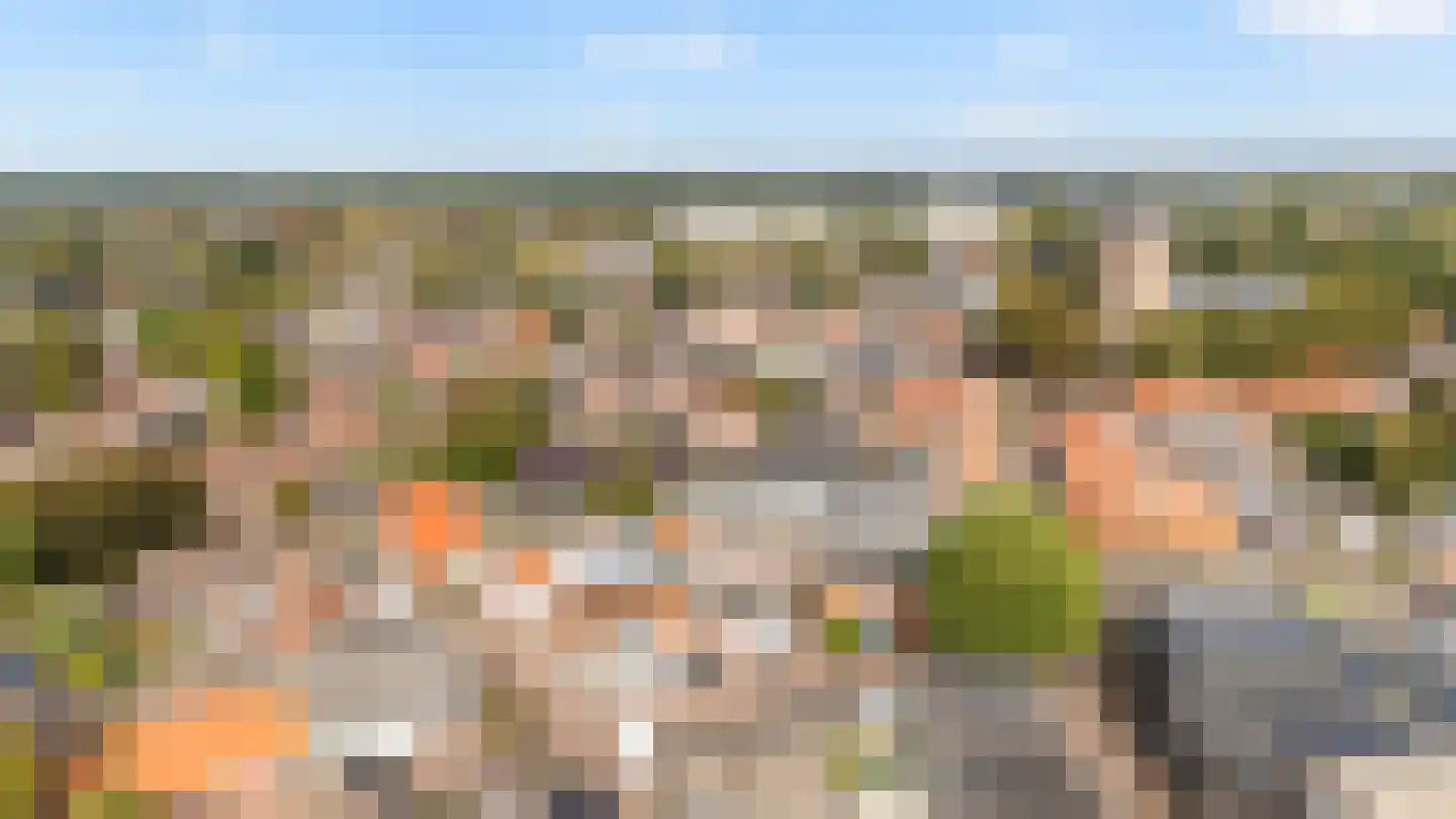 Molenstraat 4 Dalfsen thumbnail 34