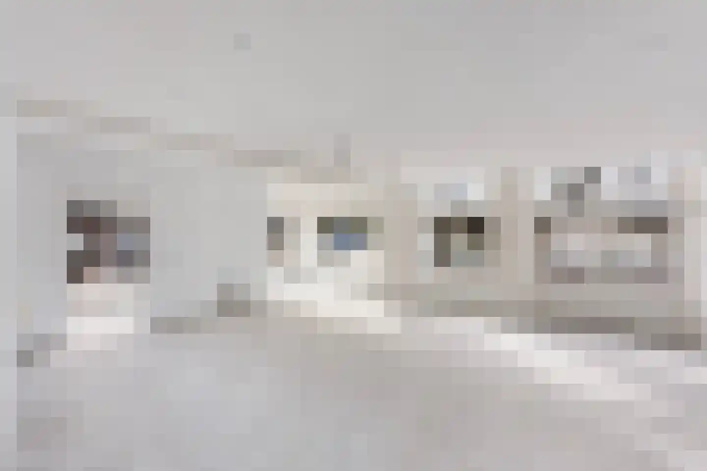 Molenstraat 4 Dalfsen thumbnail 5