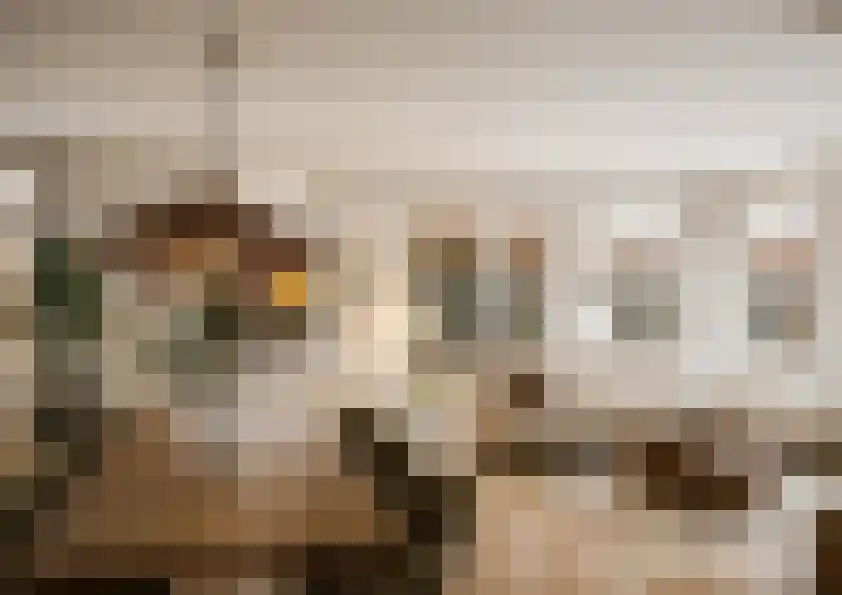 Molenstraat 4 Dalfsen thumbnail 7