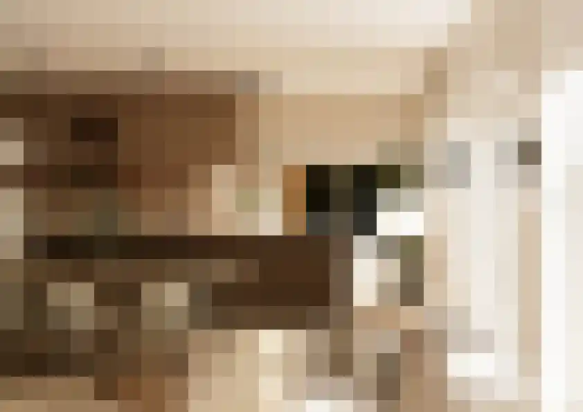 Molenstraat 4 Dalfsen thumbnail 9