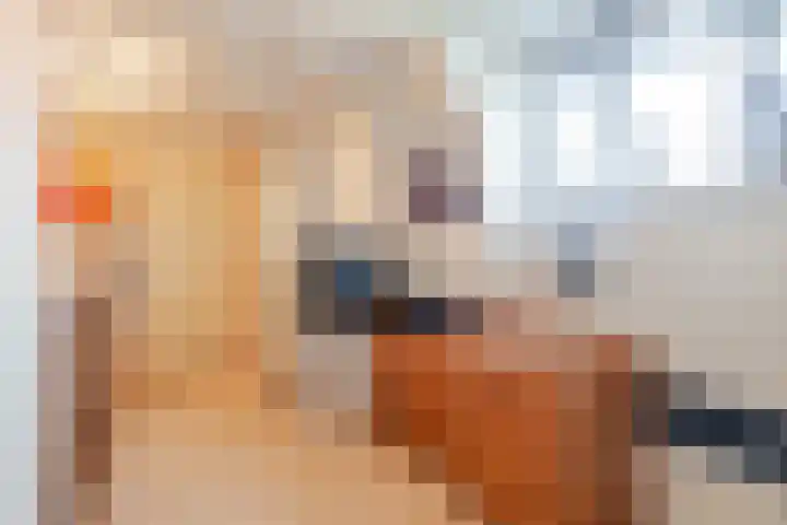 Molenstraat 4 Herwen thumbnail 14