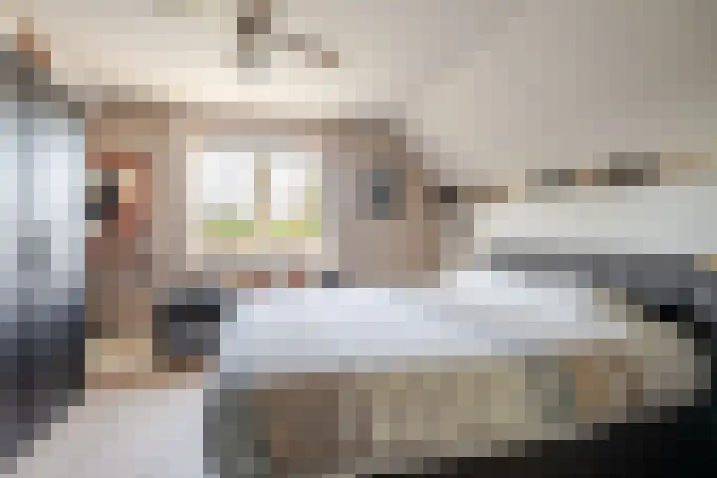 Molenstraat 4 Herwen thumbnail 16