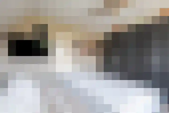 Molenstraat 4 Herwen thumbnail 17