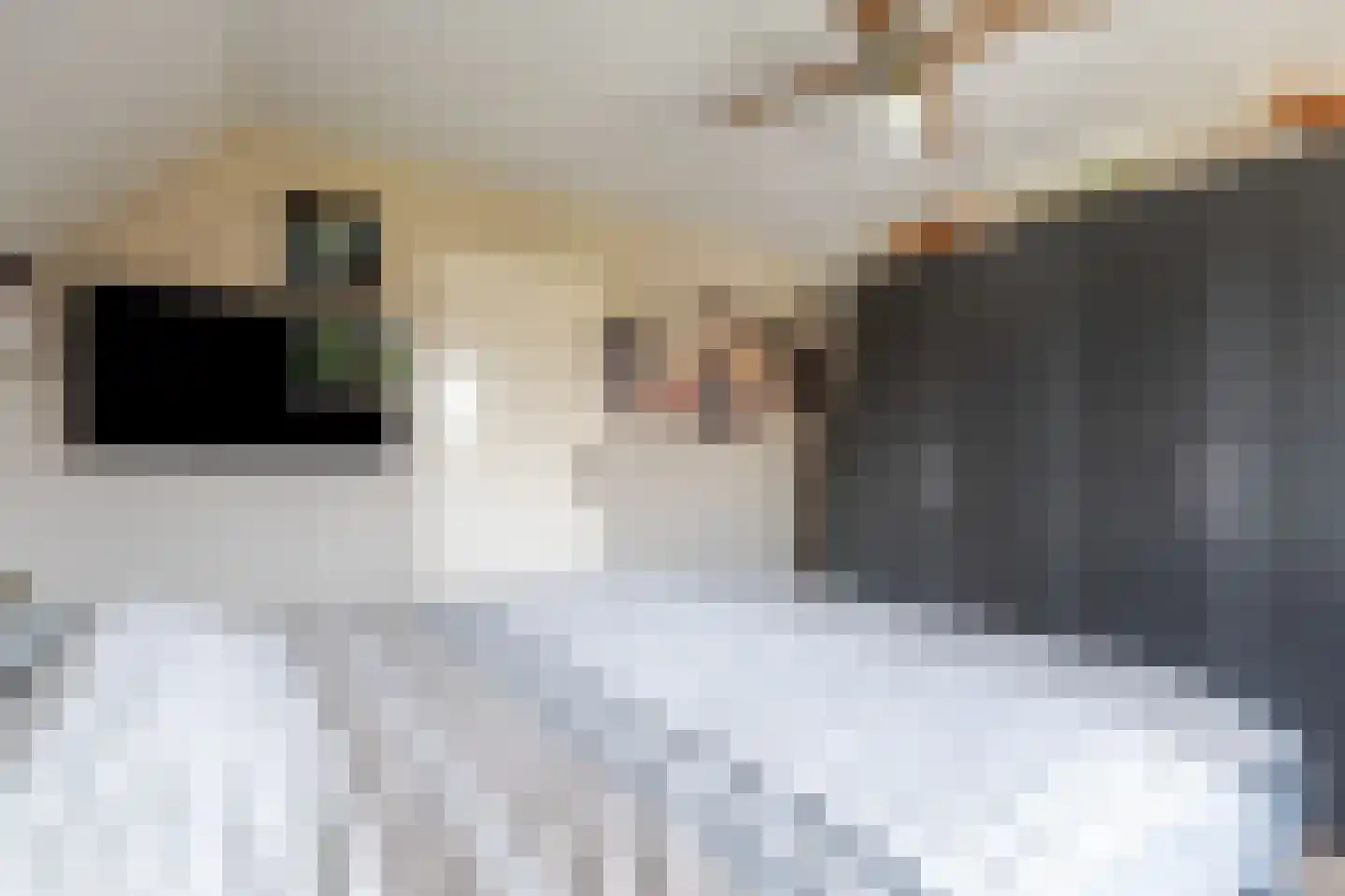 Molenstraat 4 Herwen thumbnail 17