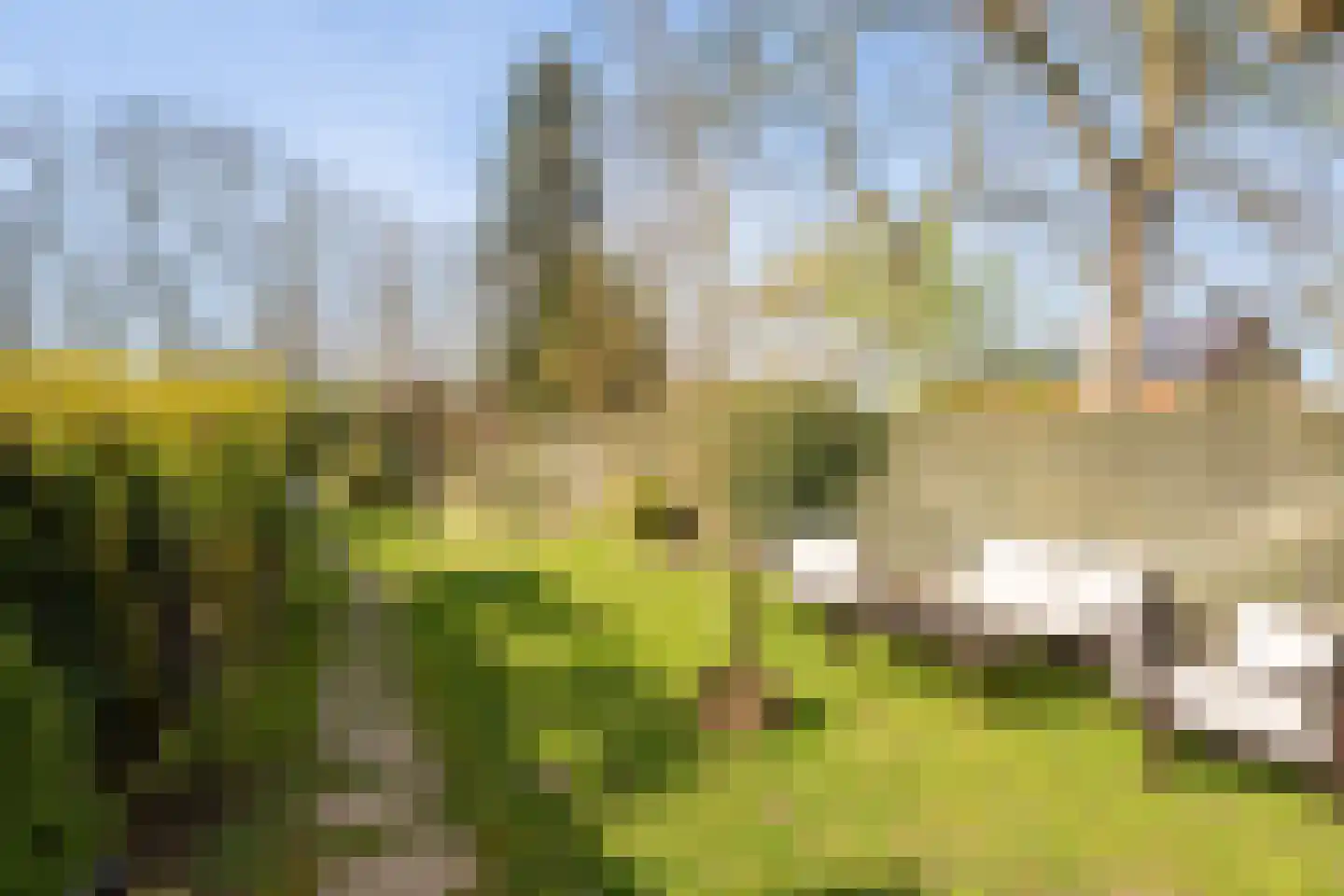 Molenstraat 4 Herwen thumbnail 26