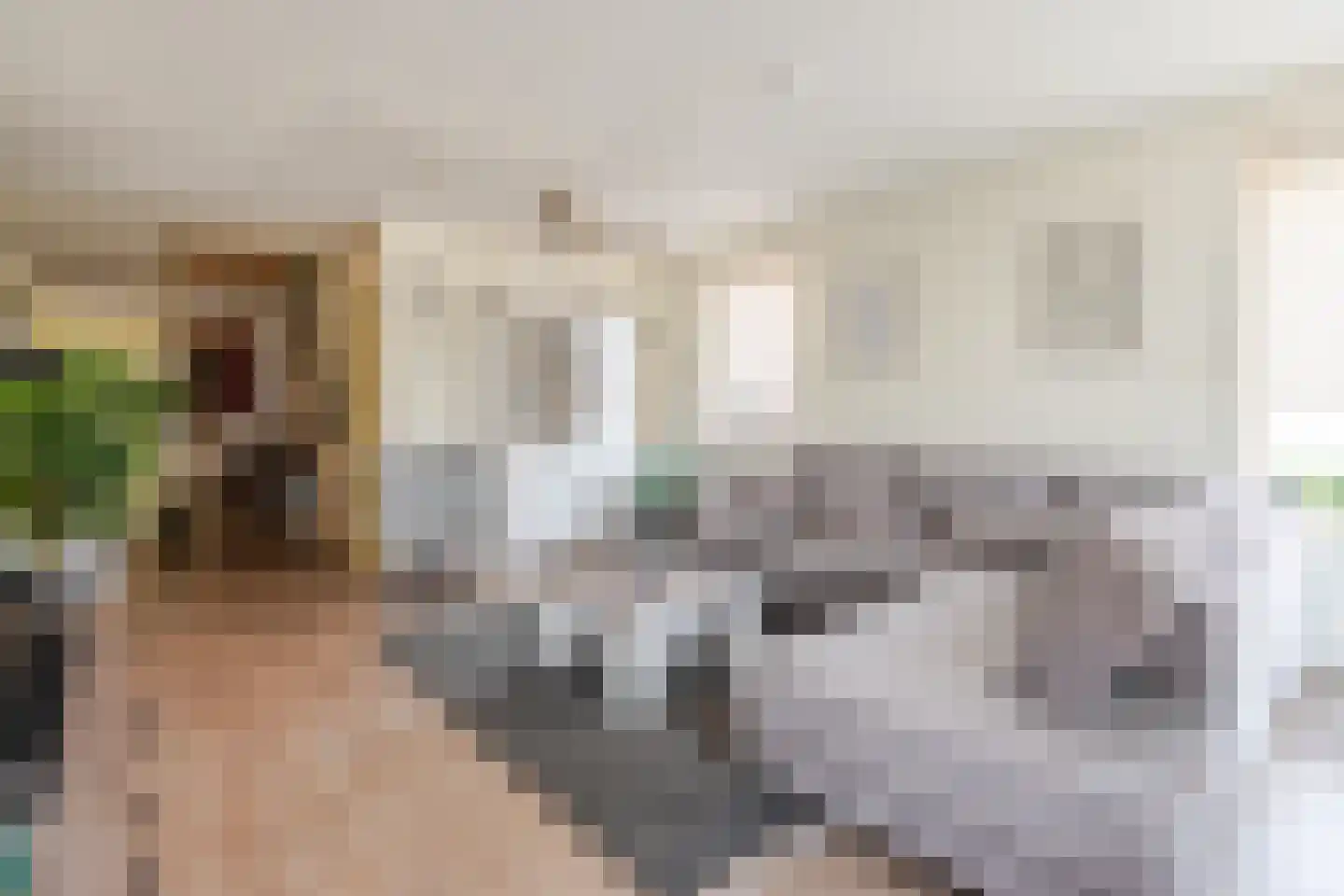 Molenstraat 4 Herwen thumbnail 6