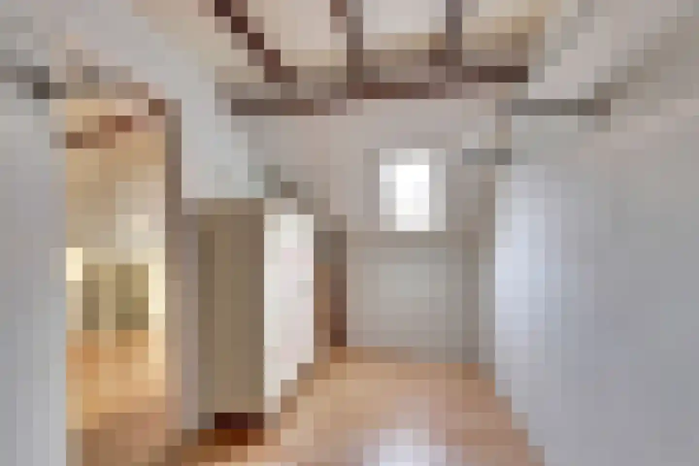 Molenstraat 4 Heukelum thumbnail 29