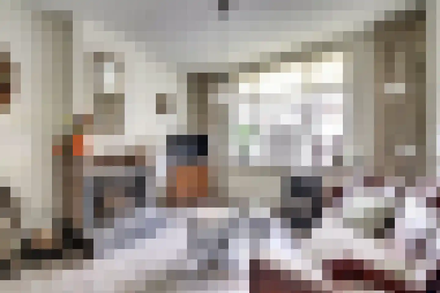 Molenstraat 4 Heukelum thumbnail 4