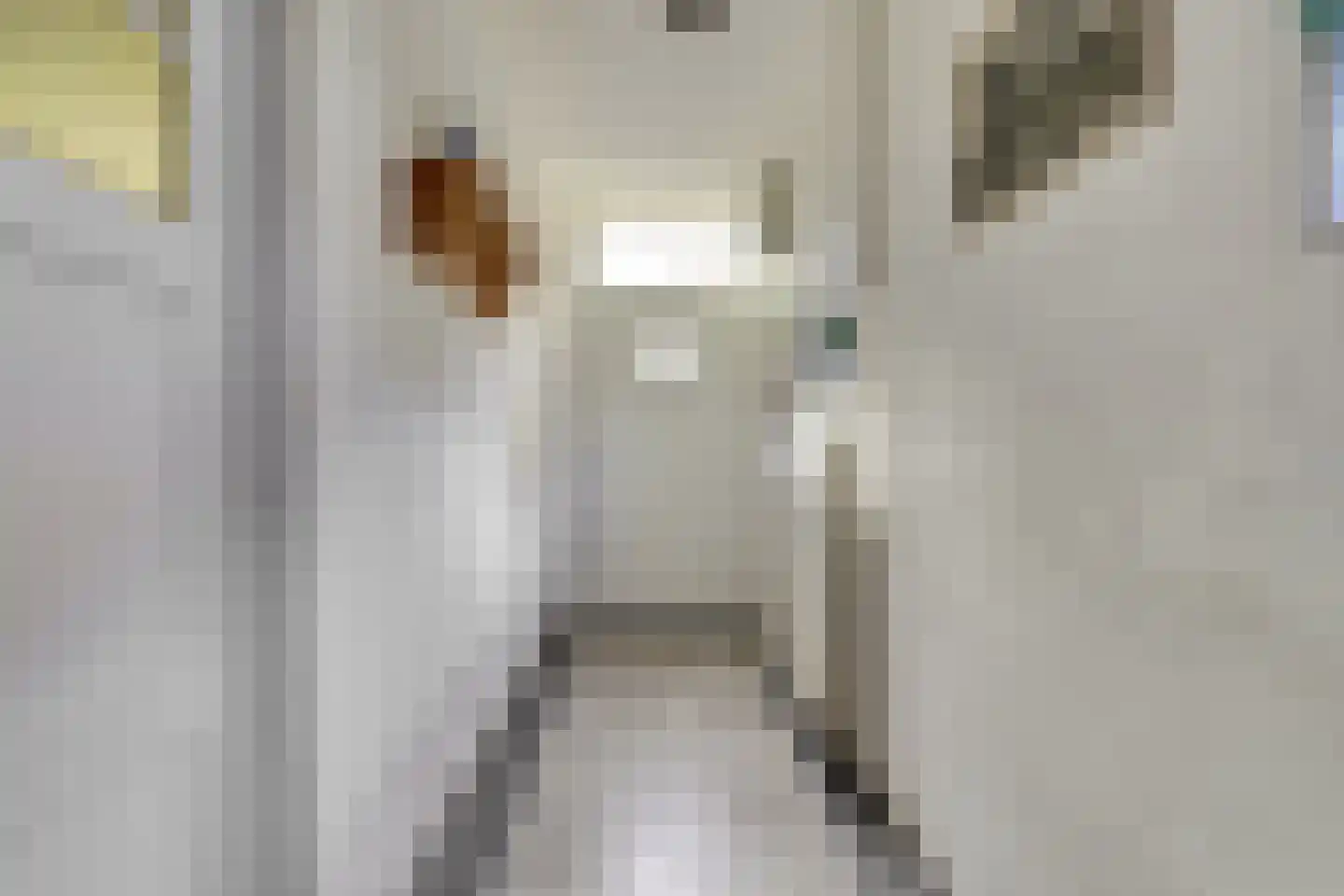 Molenstraat 4 Heukelum thumbnail 8