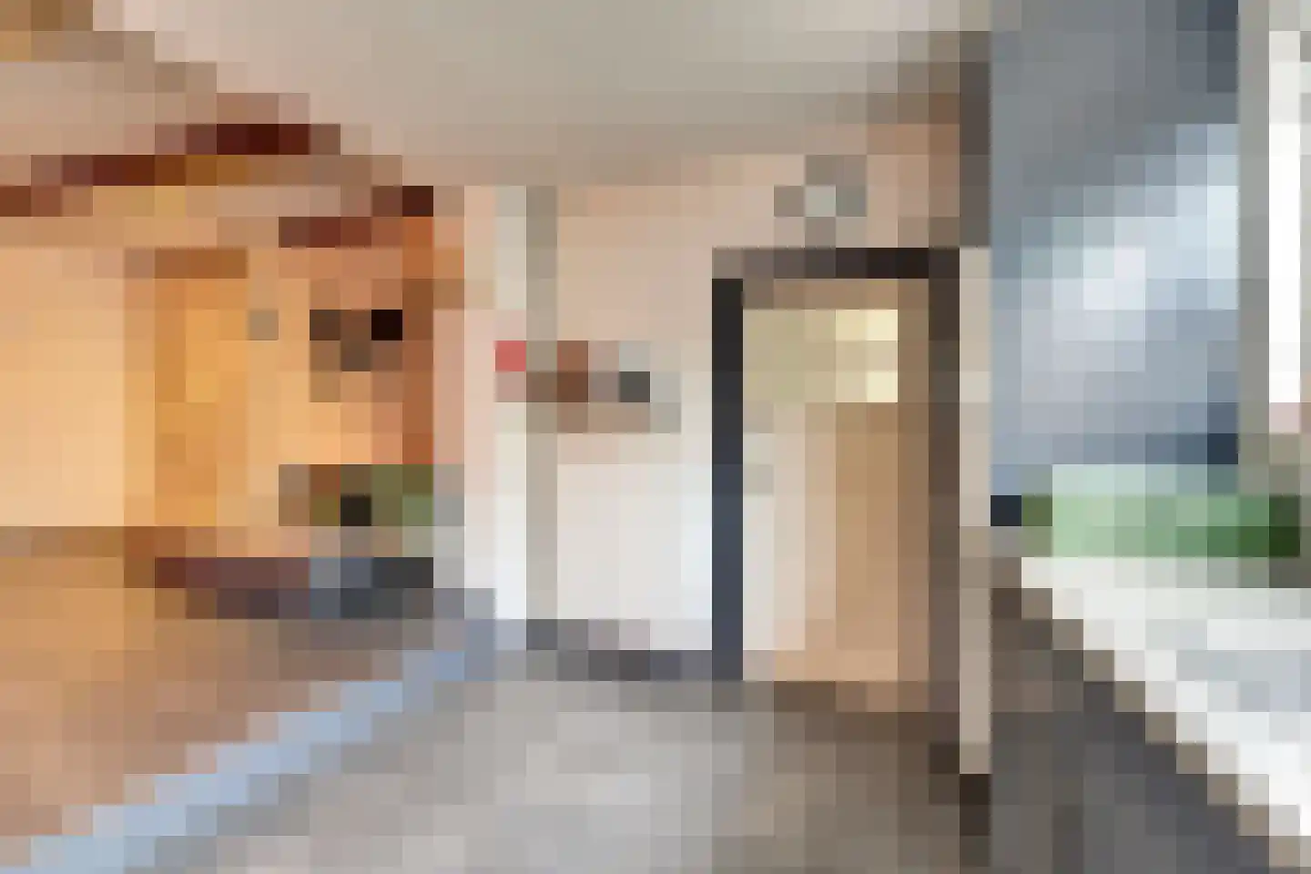 Molenstraat 4 Heukelum thumbnail 9