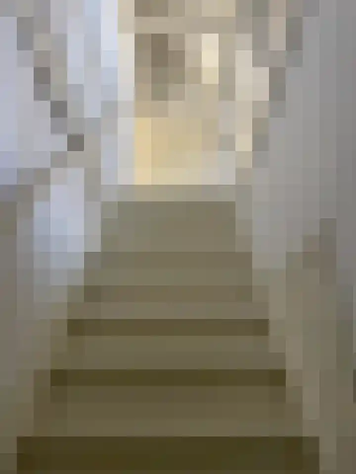 Molenstraat 4 Hoedekenskerke thumbnail 10