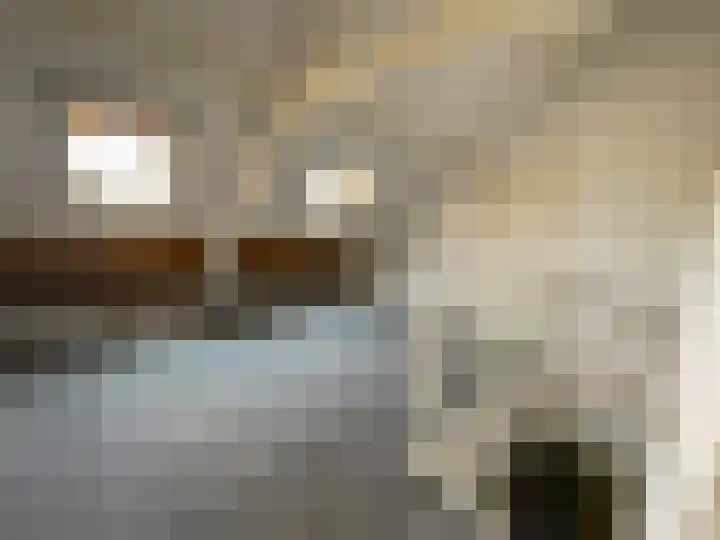 Molenstraat 4 Hoedekenskerke thumbnail 11