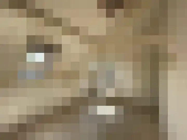 Molenstraat 4 Hoedekenskerke thumbnail 12