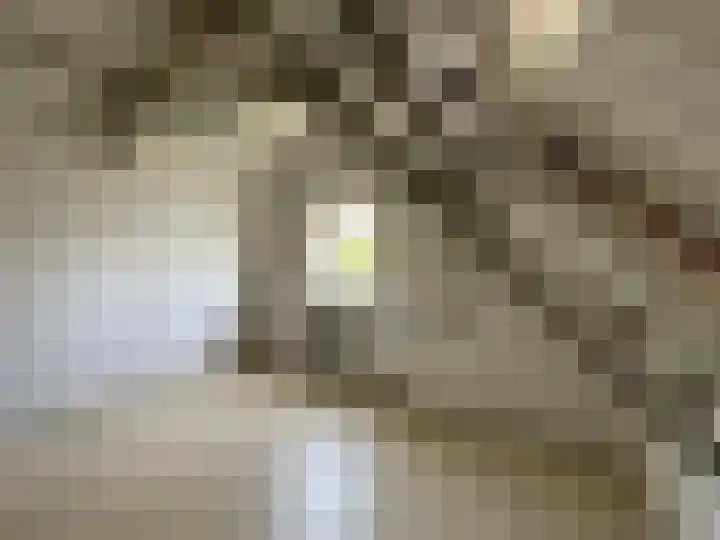 Molenstraat 4 Hoedekenskerke thumbnail 13