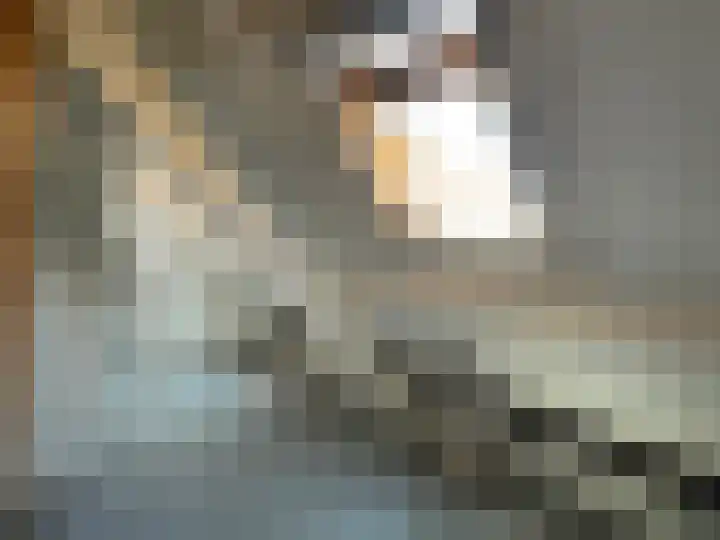 Molenstraat 4 Hoedekenskerke thumbnail 14