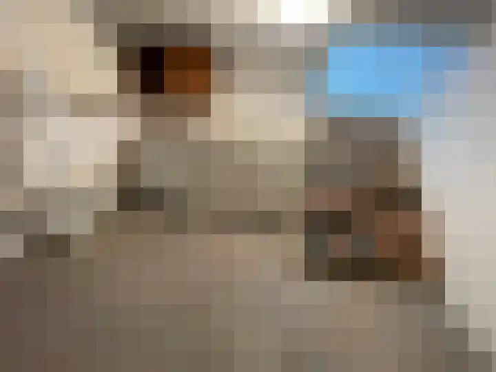 Molenstraat 4 Hoedekenskerke thumbnail 15